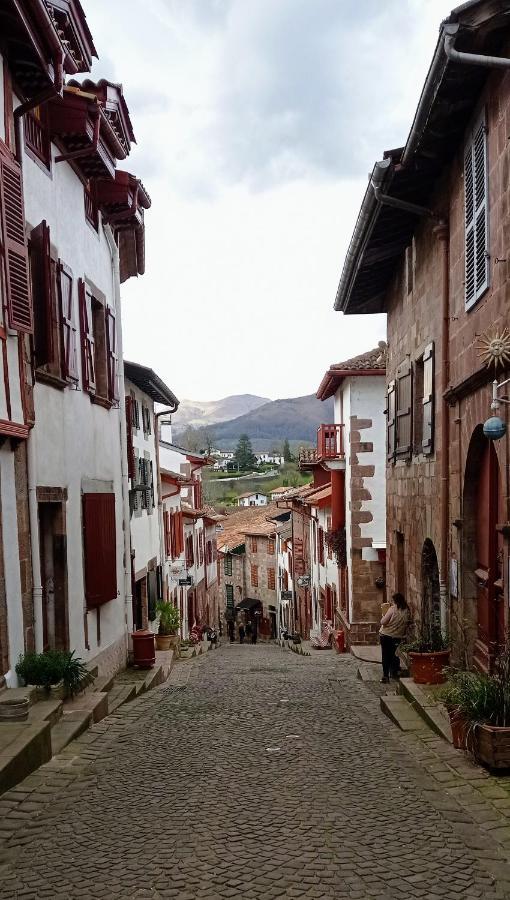 Saint Jean Pied De Port. Centre Ville. Rue Pietonne 외부 사진